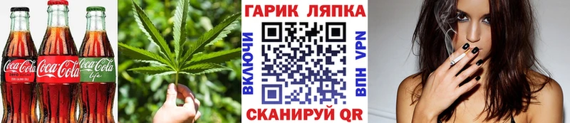 Canna-Cookies конопля  Купить закладки  Сусуман 