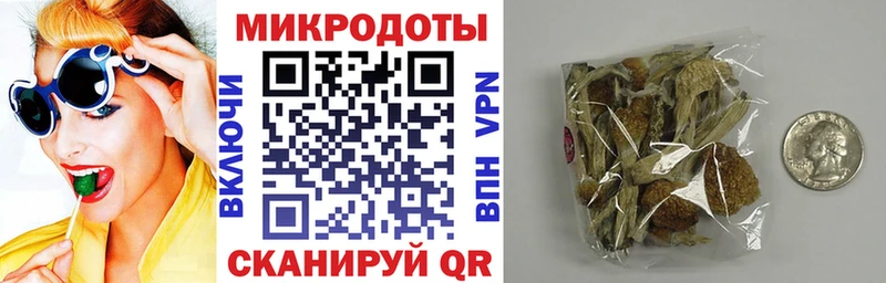 Псилоцибиновые грибы Psilocybine cubensis  Купить  Сусуман 
